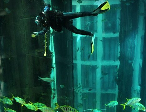 Большой-пребольшой аквариум в Берлине "AquaDom"