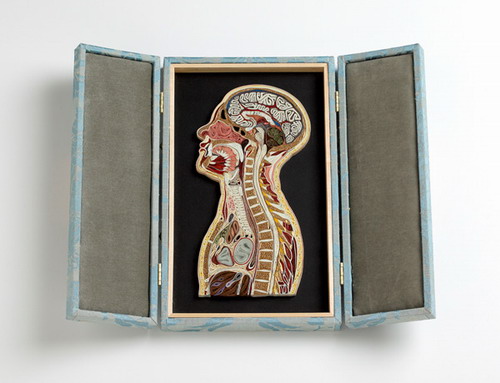 Бумажная анатомия Лизы Нильссон