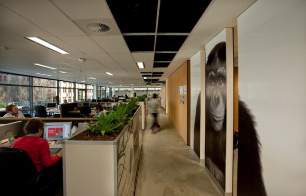 Офис Leo Burnett в Сиднее